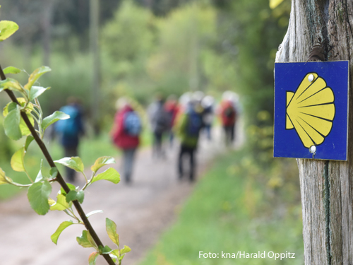 Pilger sind auf dem Jakobsweg unterwegs. Foto: kna/Harald Oppitz 
