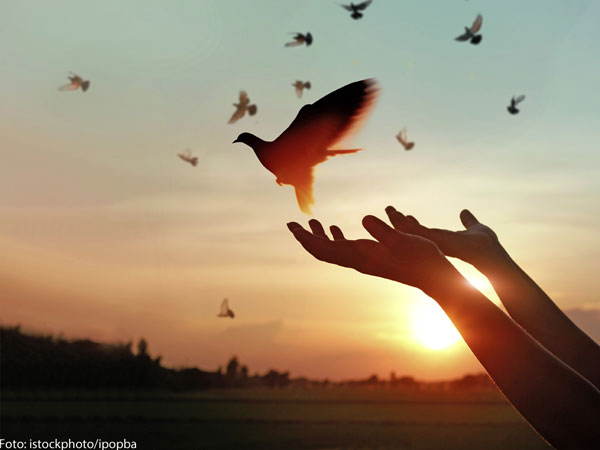 Foto: istockphoto.com/ipopba