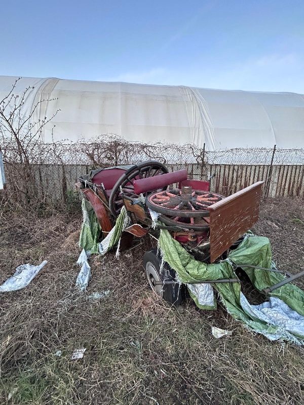 Kutsche von Gras überwuchert