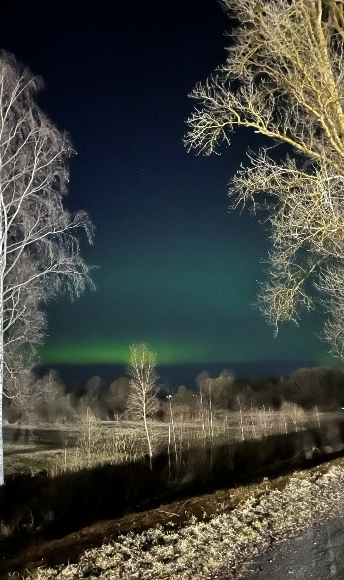 Polarlichter