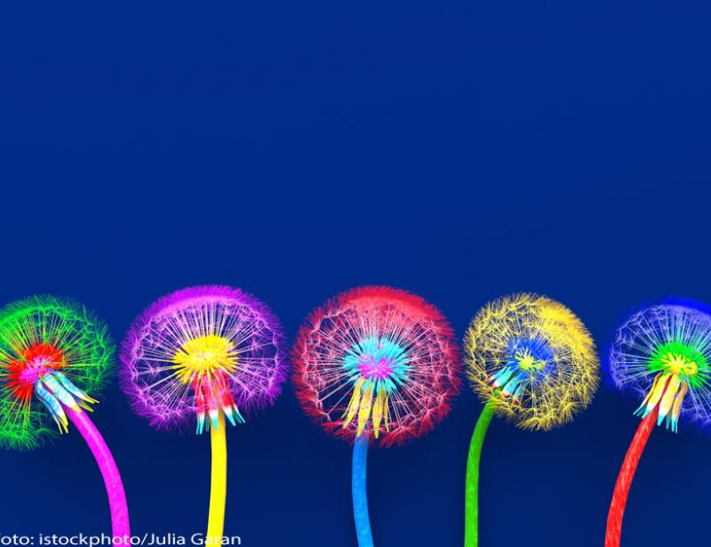 Keine Zeit mehr zu warten