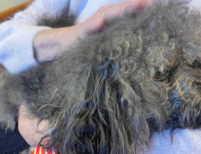 Ein besonderer Besucher