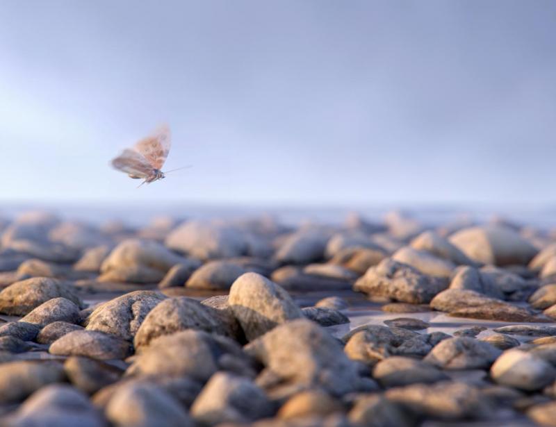Wie Christen die Fastenzeit nutzen