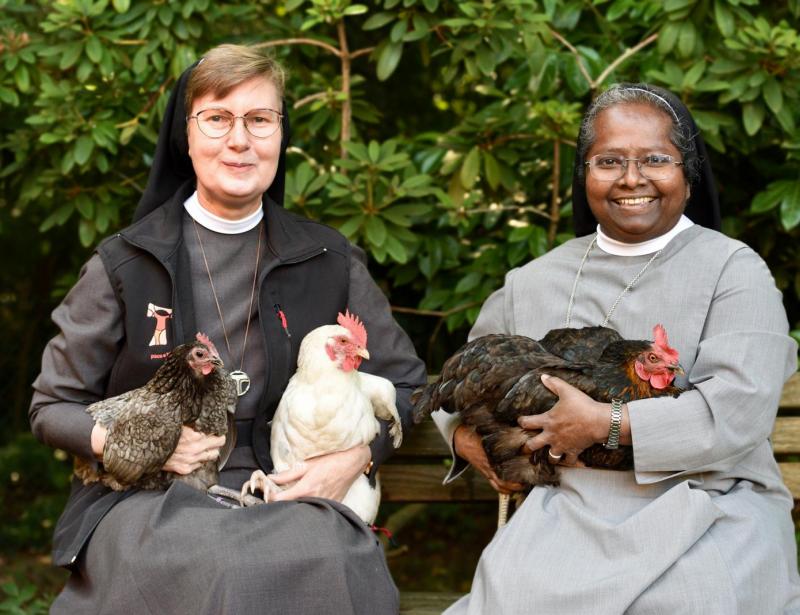 Schwerpunkt: Wie Tiere das Leben im Kloster erleichtern