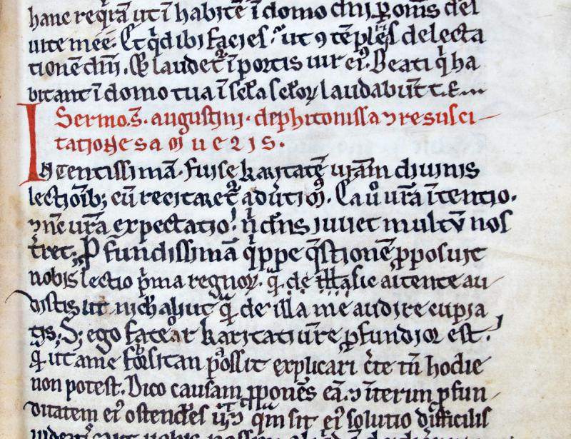 Augustinus-Predigten aus Kloster Doberan entdeckt