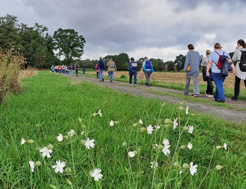 Unterwegs auf dem Hümmlinger Pilgerweg