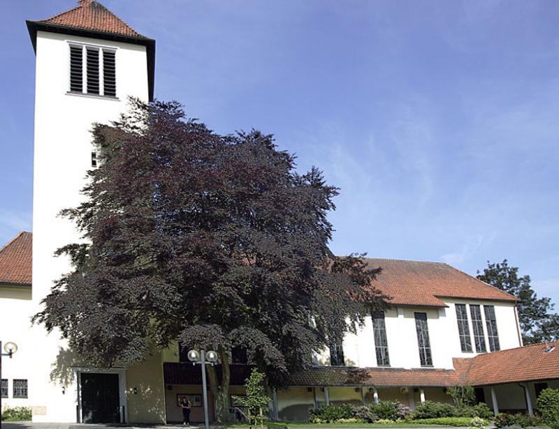 Die Gemeinde ist schockiert