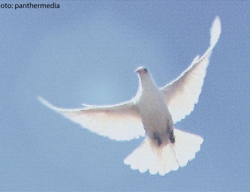 "Wir glauben an die Kraft des Gebetes"