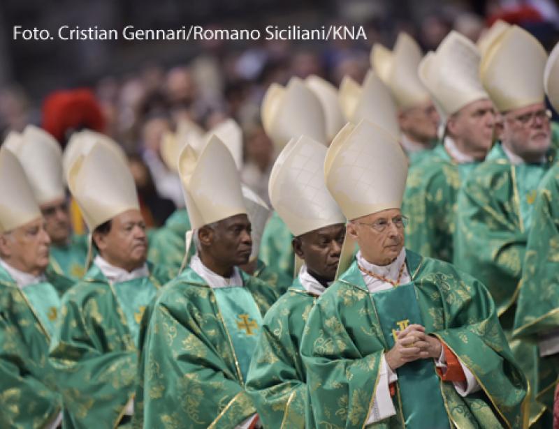 Papst will weltweiten synondalen Weg
