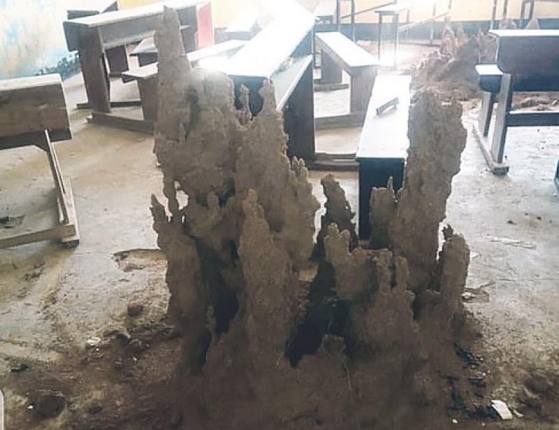 „Uganda nicht allein lassen“