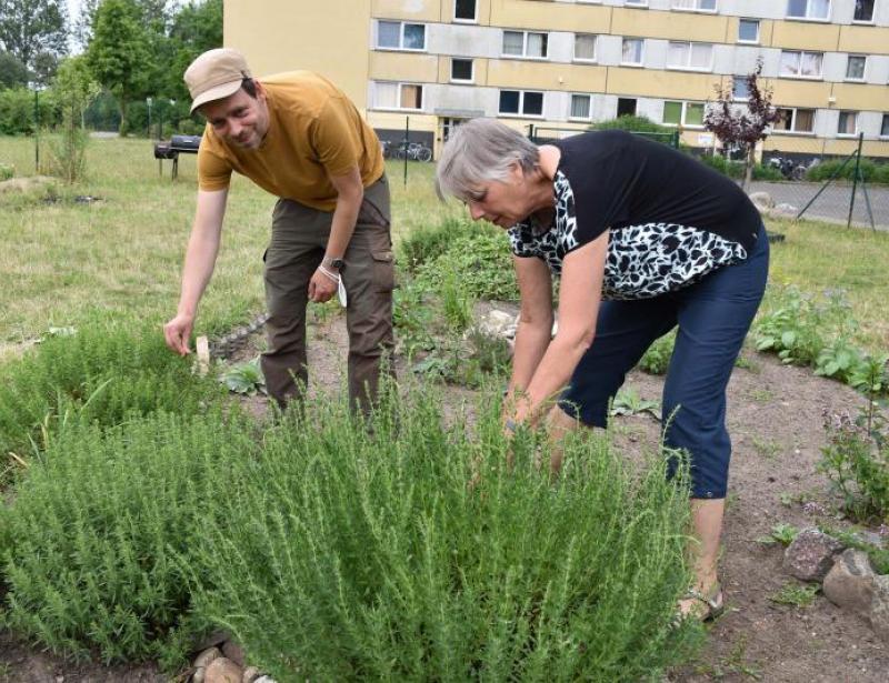 Integration durch Gartenarbeit