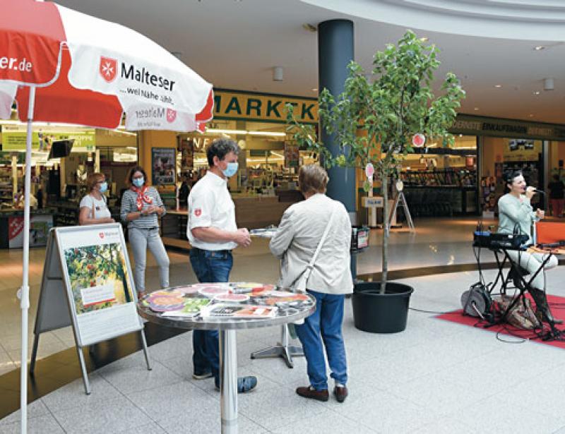 Lebenswünsche am Apfelbaum