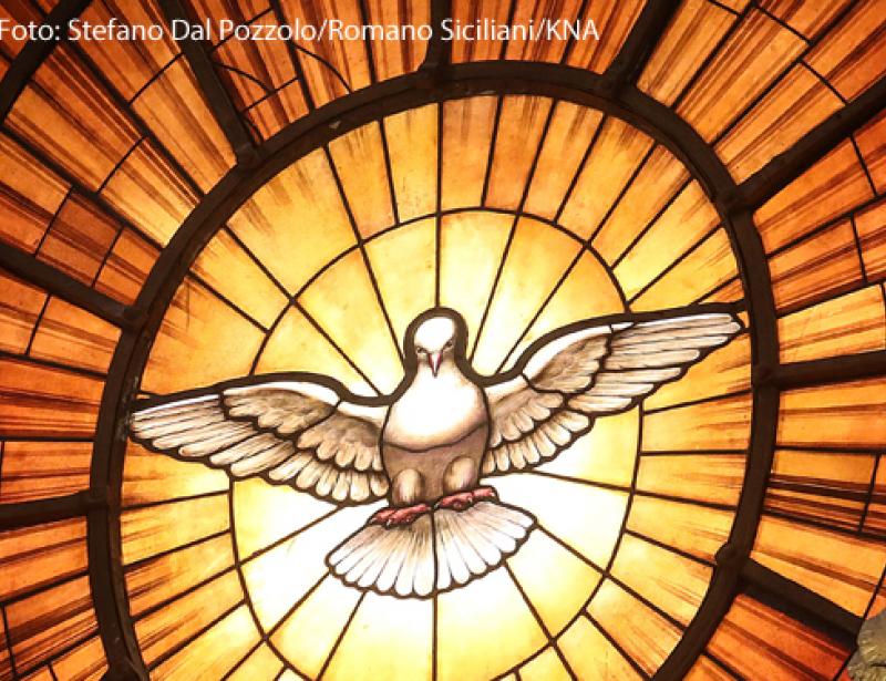 Der unfassbare Geist 