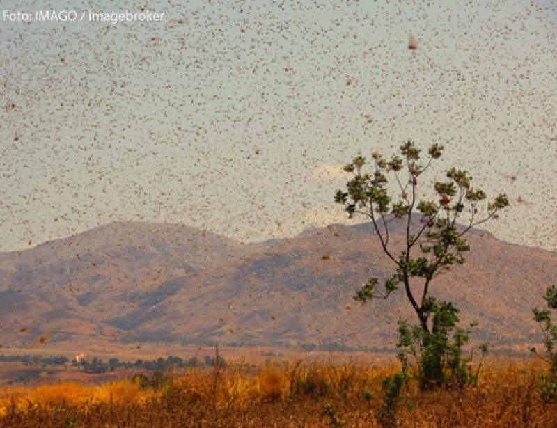 Überlappende Krisen 