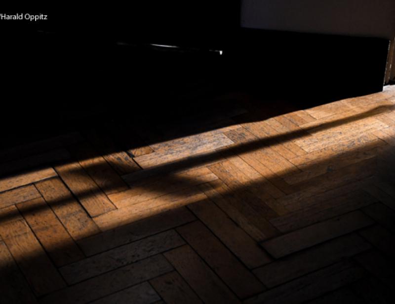 "Studie ist ein Schlag ins Gesicht" 