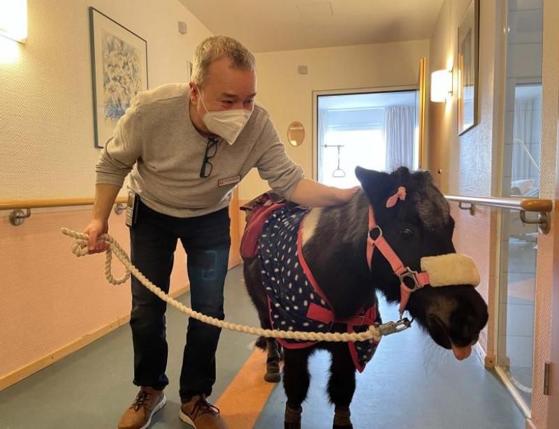 Da steht ein Pferd auf dem Flur