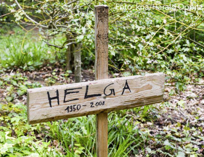 Ein Fehler im System? 