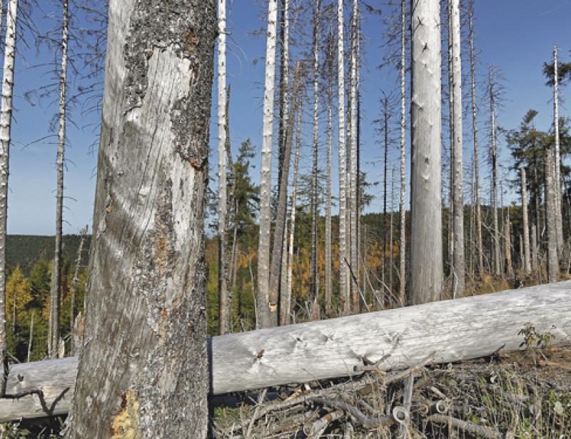 Nur nutzen, was notwendig ist