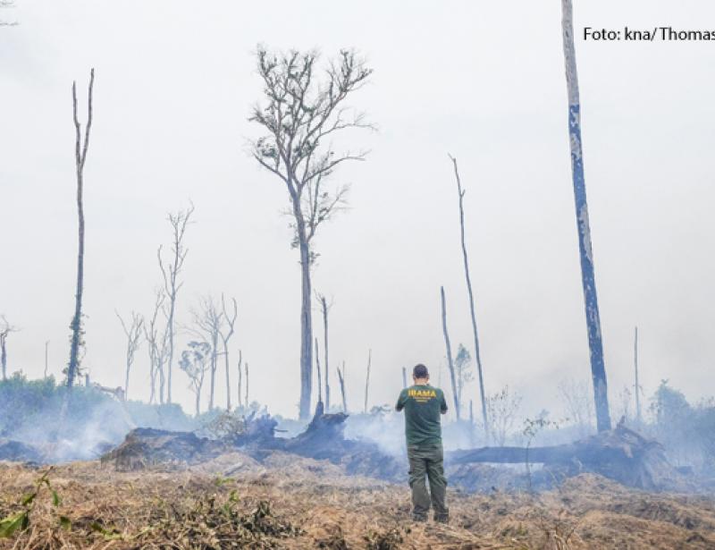 Die Klimakrise spitzt sich zu 