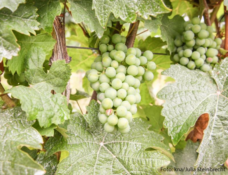 Bringt eure Bitten vor Gott 