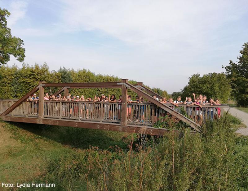 Die Wunder des Weges