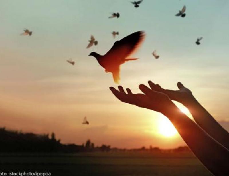 Ein bisschen Frieden