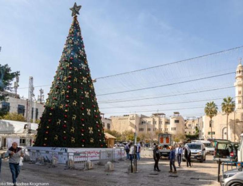 Der wichtigste Weihnachtsbaum der Welt