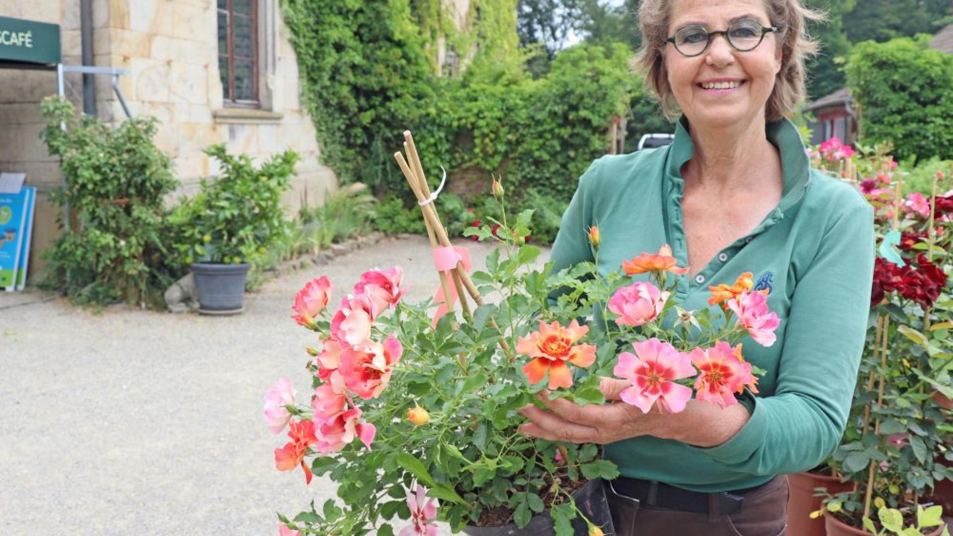 Frau zeigt einen Topf mit blühenden Pflanzen in die Kamera