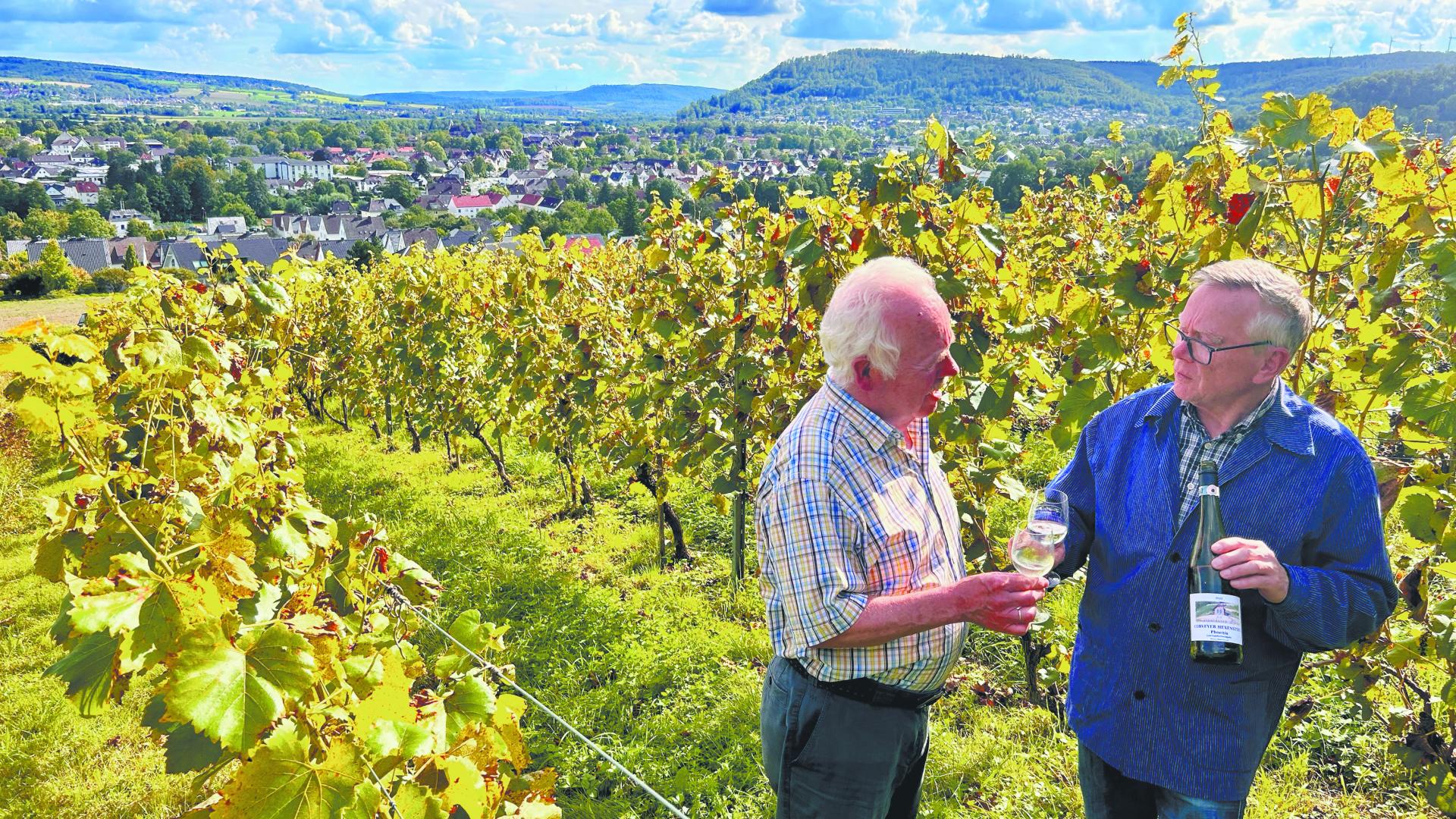 Michael Rindermann (rechts) und sein Mitstreiter Dieter Siebeck im Weinberg von Höxter. 99 Reben wachsen hier – und in guten Jahren sorgt die Ernte für einen hervorragenden Tropfen.