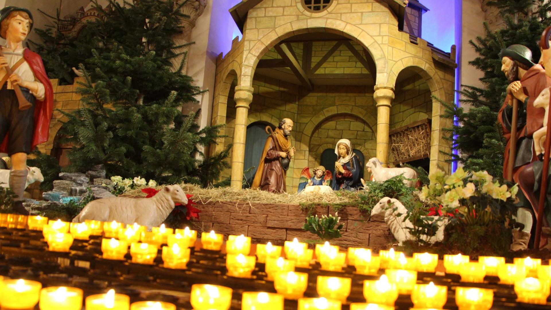 Weihnachtskrippe Dom Osnabrück