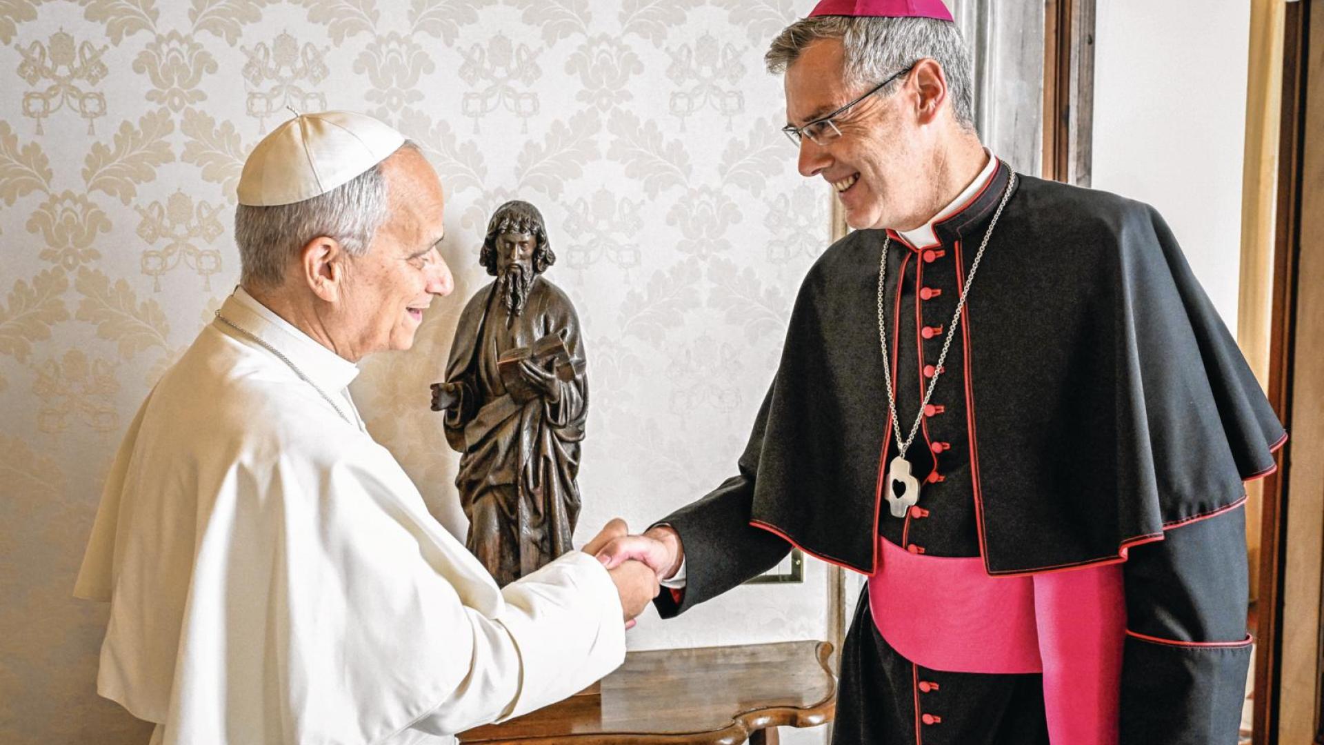 Papst Leo empfängt Heiner Wilmer