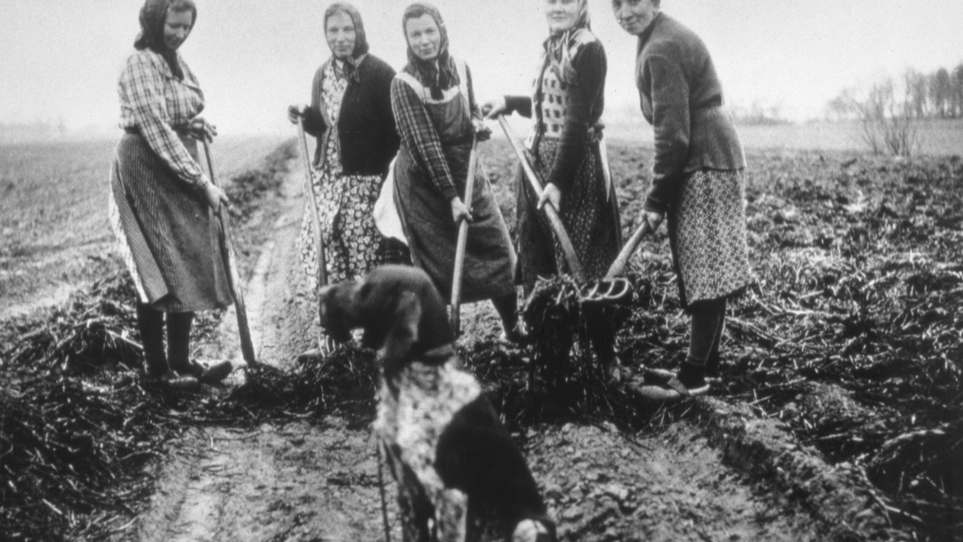 historisches Foto von 1958 aus Rhede