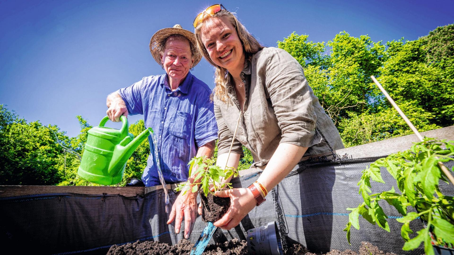 Gartenarbeit