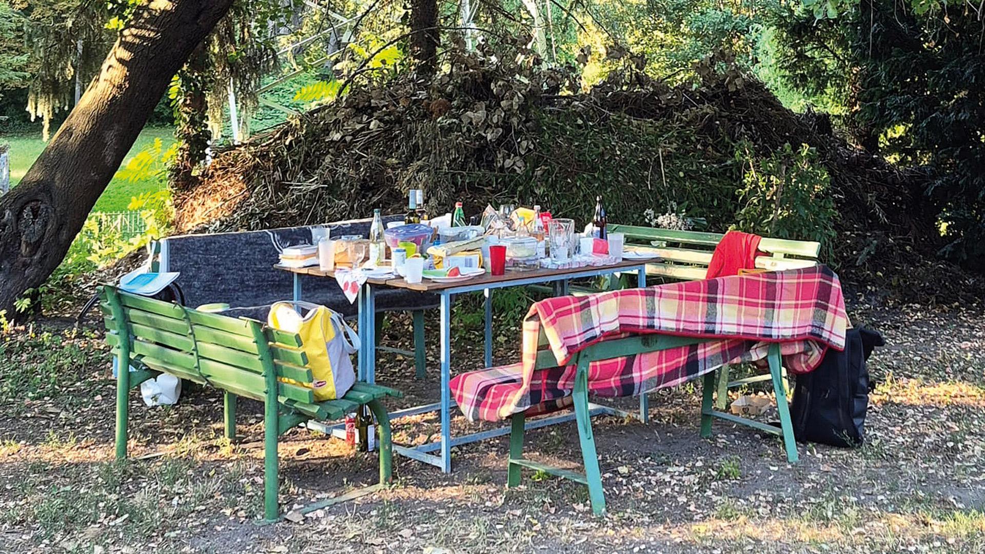 ein gedeckter Tisch steht im Grünen