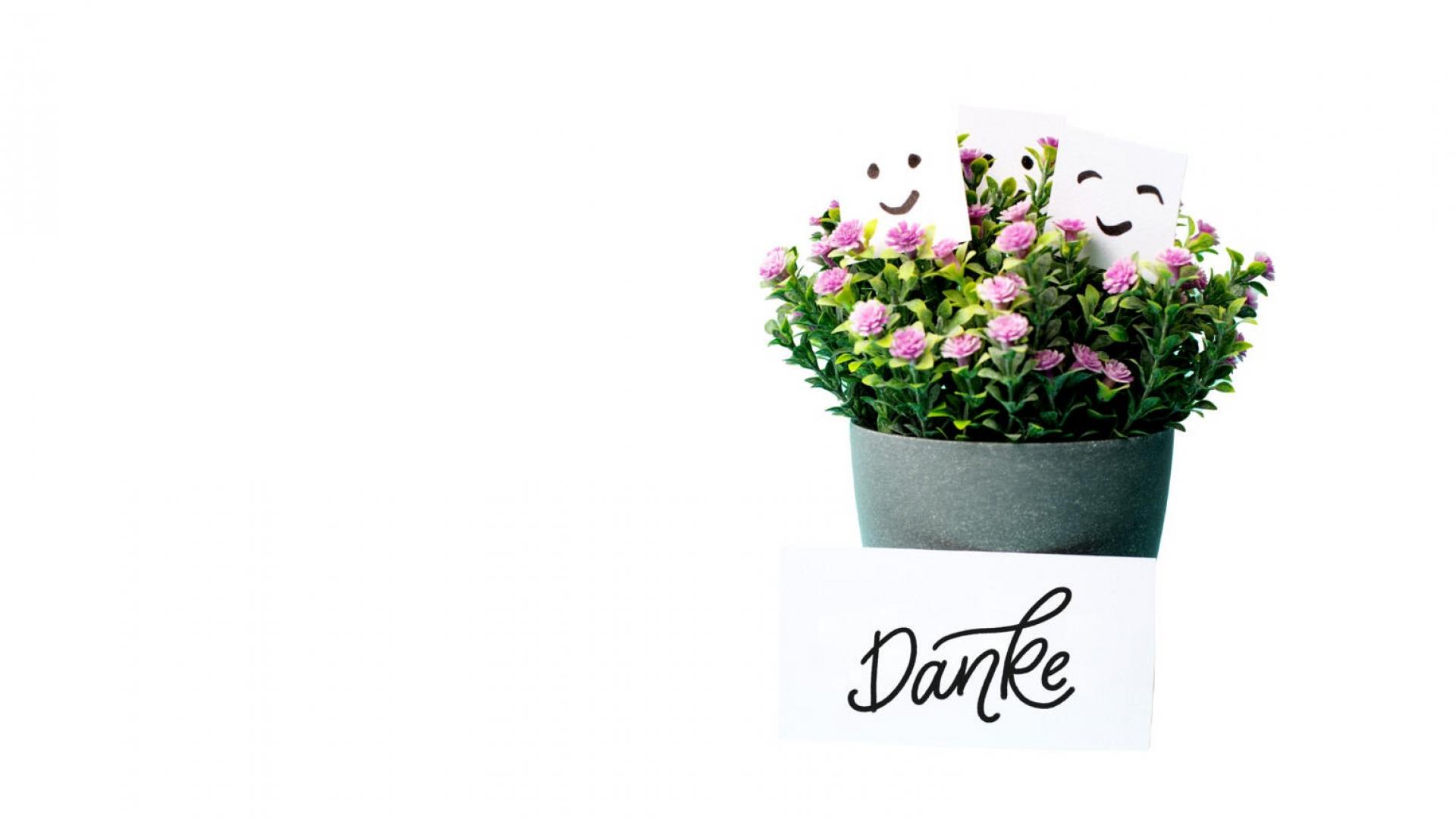 Blumen als Dankeschön